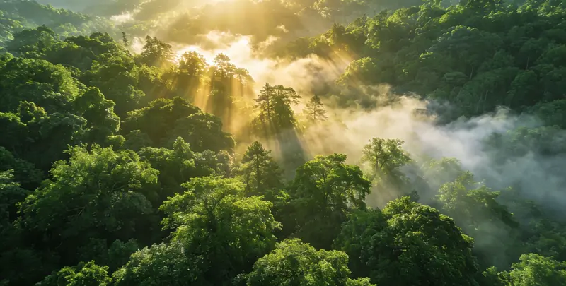 清远肺癌120基因ctDNA突变检测(血液）图片1