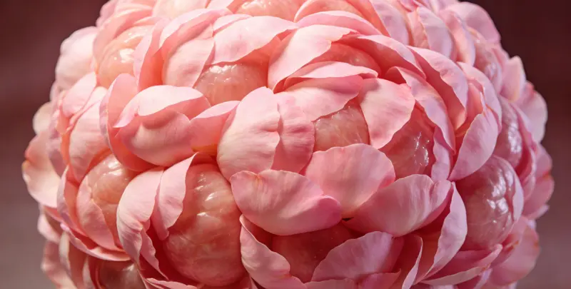 清远BRCA1/2乳腺癌卵巢癌基因检测图片1